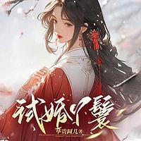 试婚丫鬟