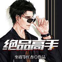 绝品高手