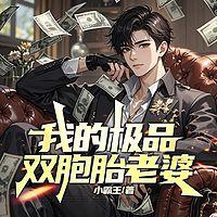 我的极品双胞胎老婆