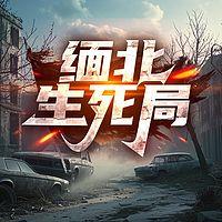 缅北生死局