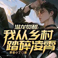 潜龙觉醒：我从乡村踏碎凌霄