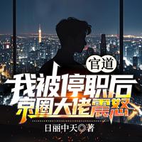 官道：我被停职后，京圈大佬震怒