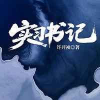 实习书记