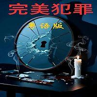 完美犯罪 TVB听感的刑侦小说