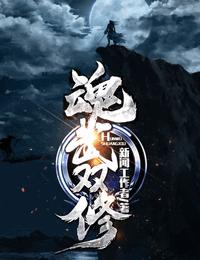 魂武双修