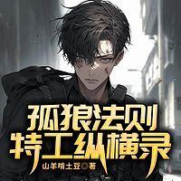孤狼法则：特工纵横录