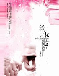 微雨红尘上部