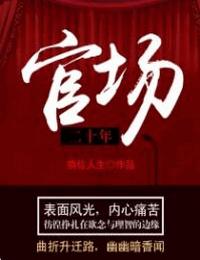 官场二十年